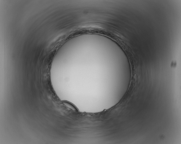 X0000113531014200909180955