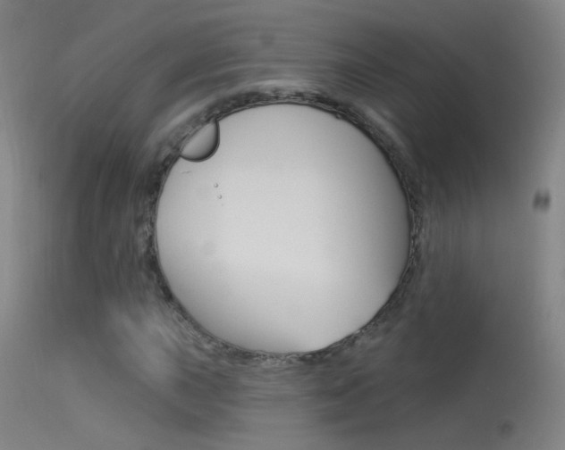 X0000113531015200909180955
