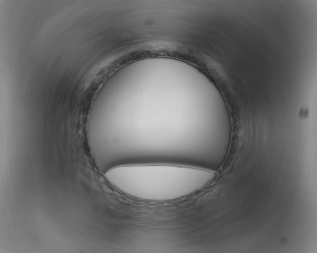X0000113531016200909180955