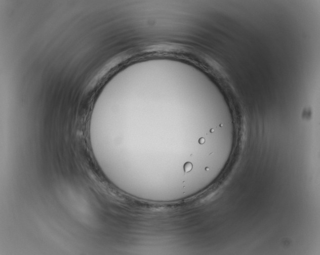 X0000113531017200909180955