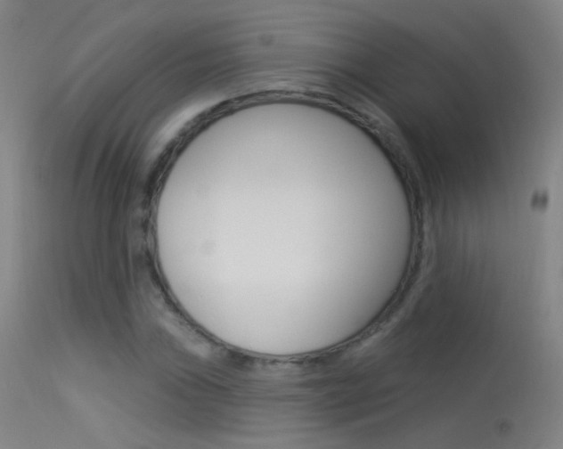 X0000113531019200909180955