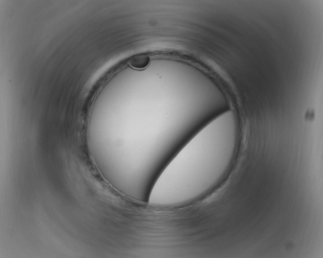 X0000113531021200909180955