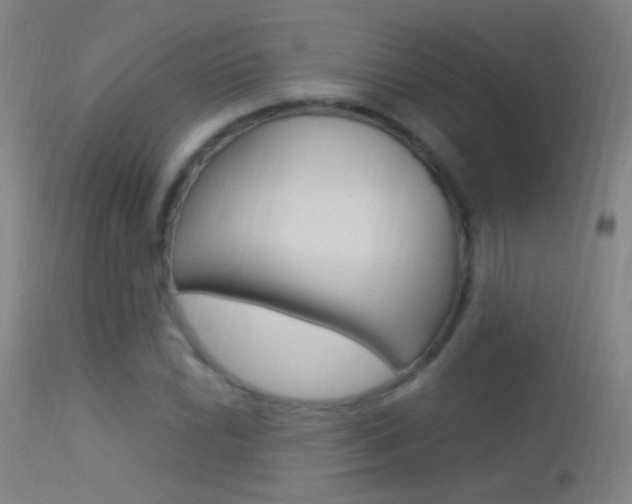 X0000113531022200909180955
