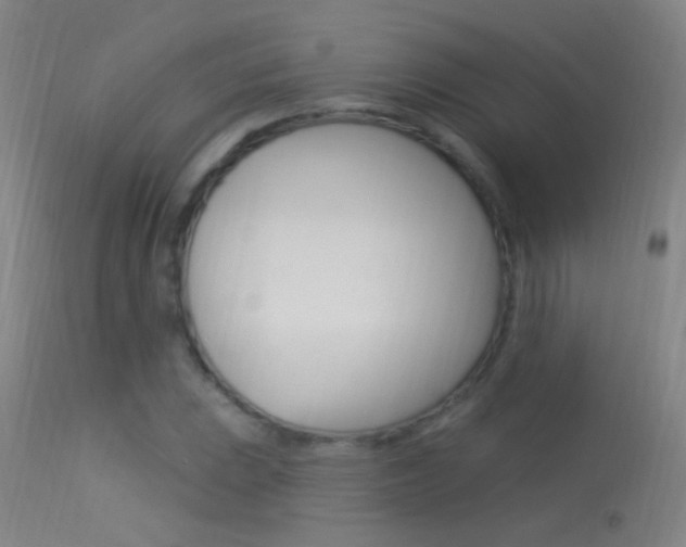 X0000113531023200909180955