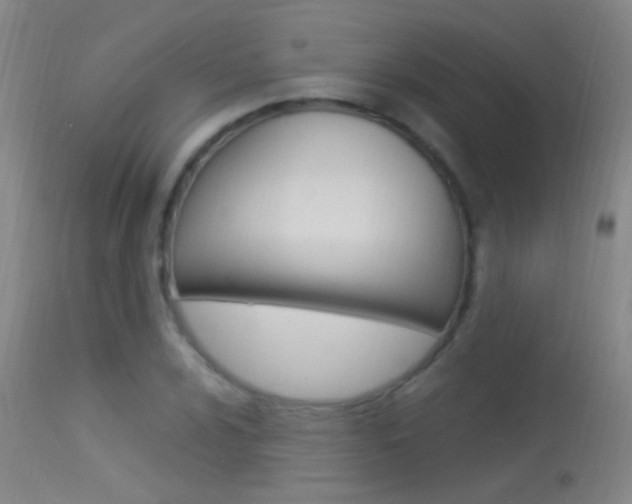 X0000113531024200909180955