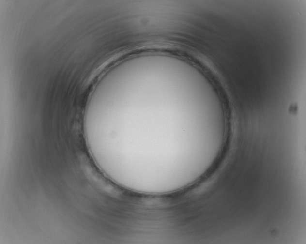 X0000113531025200909180955