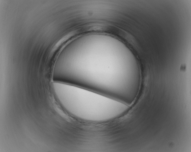 X0000113531026200909180955