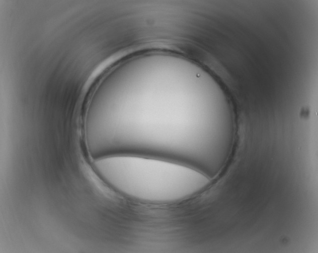 X0000113531028200909180955