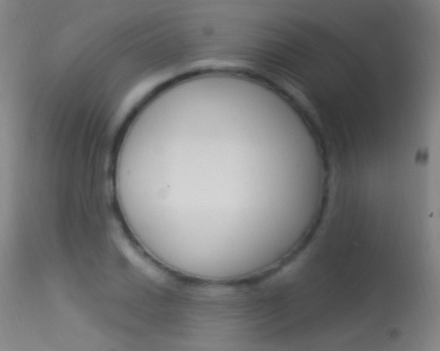 X0000113531030200909180955