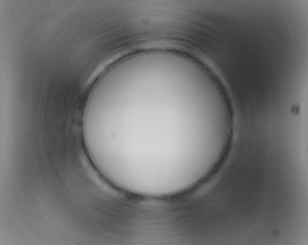 X0000113531033200909180955
