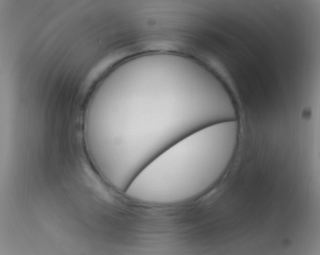 X0000113531035200909180955