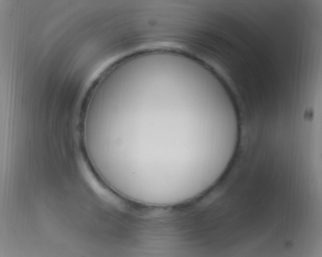 X0000113531038200909180955