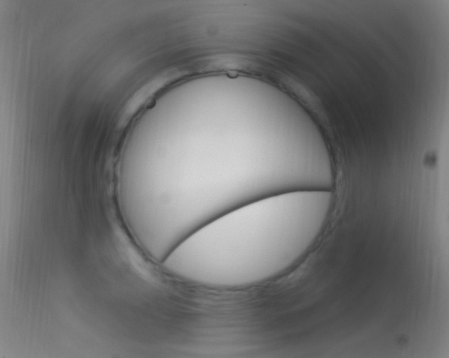 X0000113531039200909180955