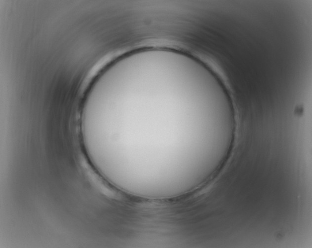 X0000113531040200909180955