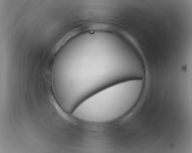 X0000113531041200909180955