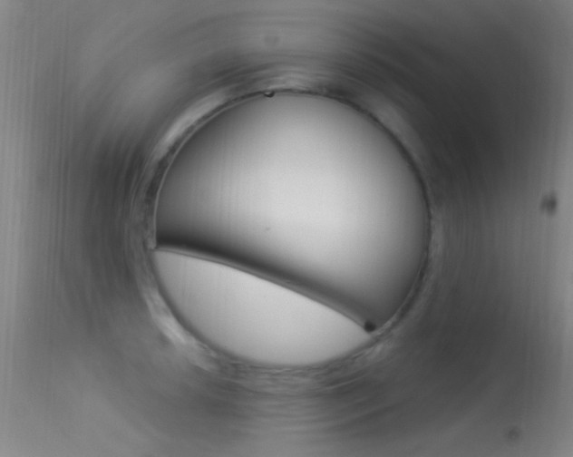 X0000113531042200909180955
