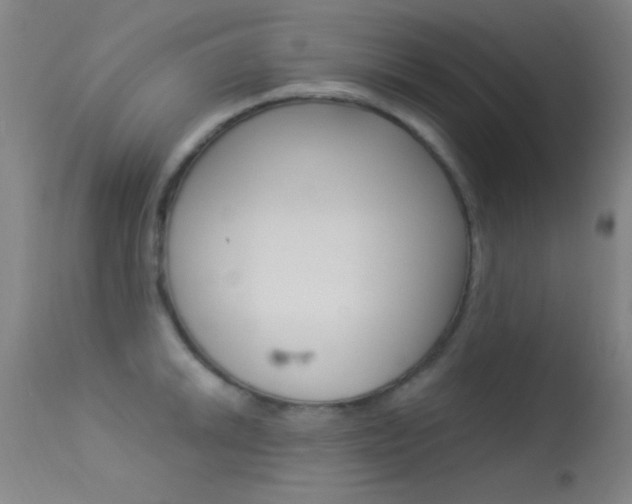 X0000113531046200909180955