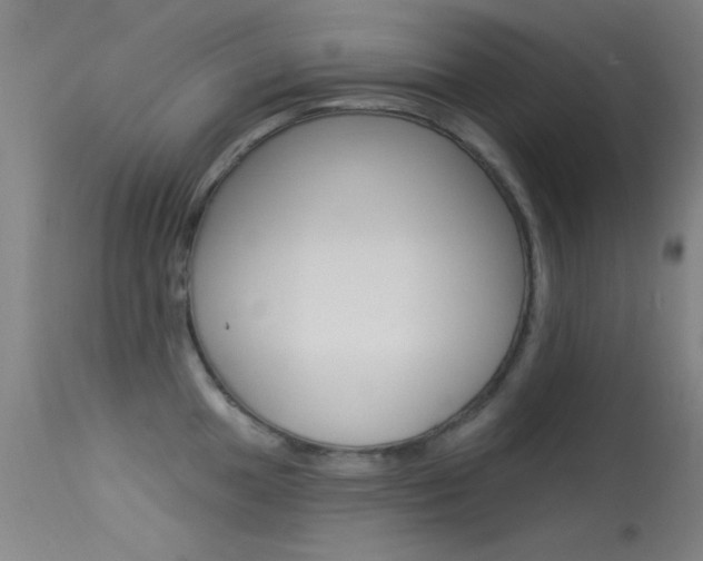 X0000113531049200909180955