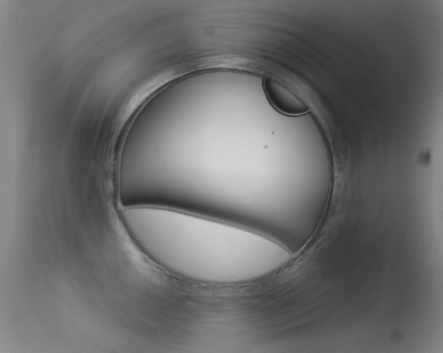X0000113531050200909180955