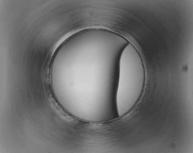 X0000113531052200909180955