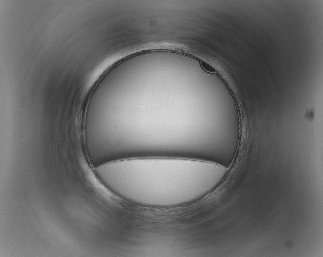 X0000113531054200909180955