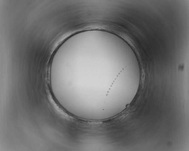 X0000113531055200909180955