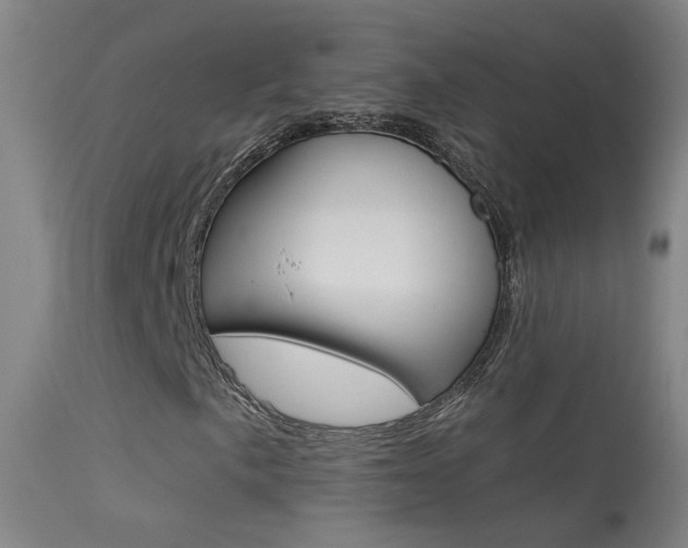 X0000113531057200909180955