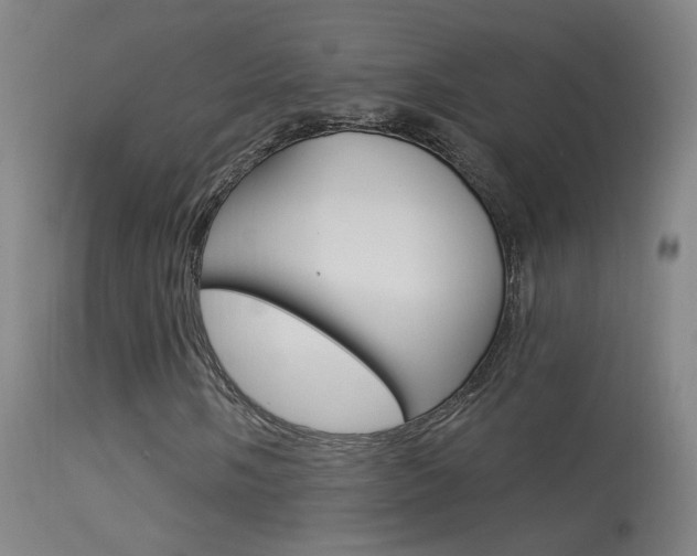X0000113531058200909180955