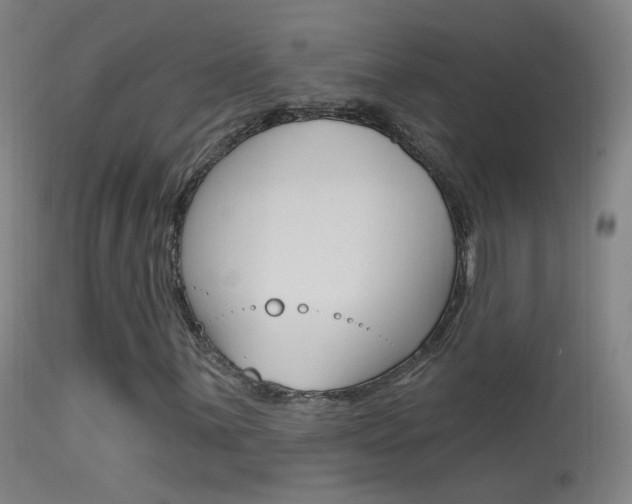 X0000113531059200909180955