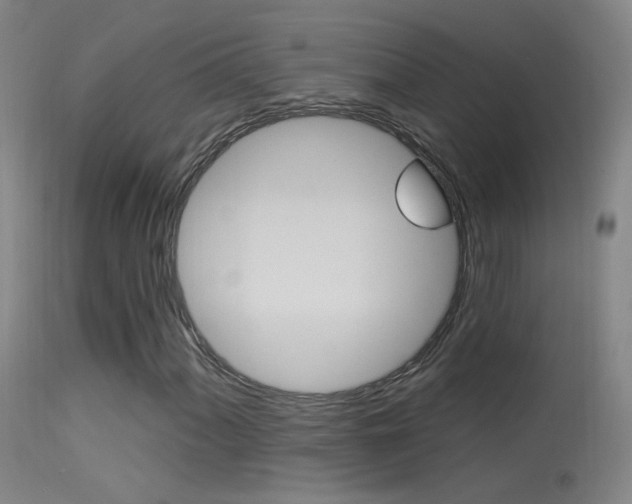 X0000113531060200909180955