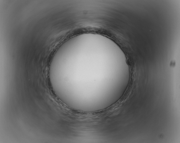 X0000113531061200909180955