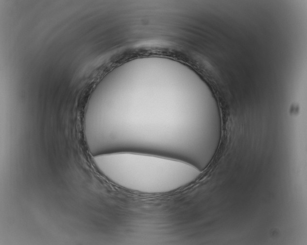 X0000113531062200909180955