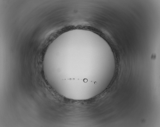X0000113531063200909180955