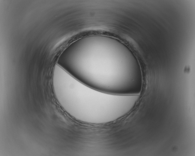 X0000113531064200909180955