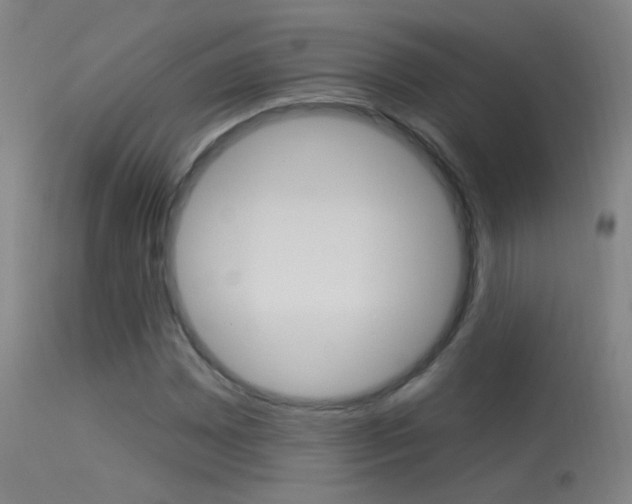 X0000113531065200909180955