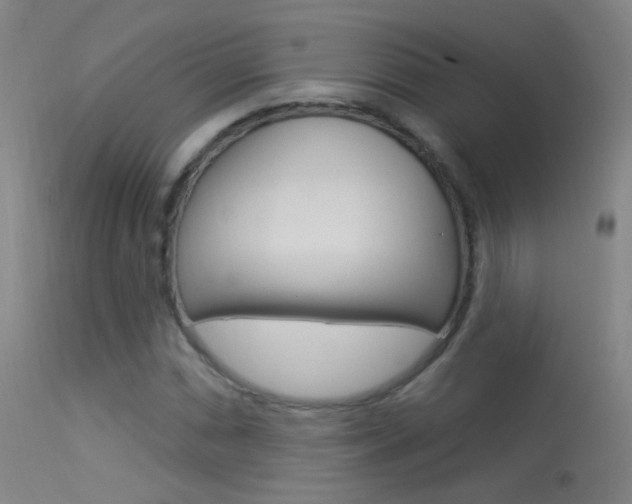 X0000113531066200909180955