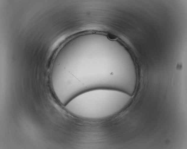 X0000113531067200909180955