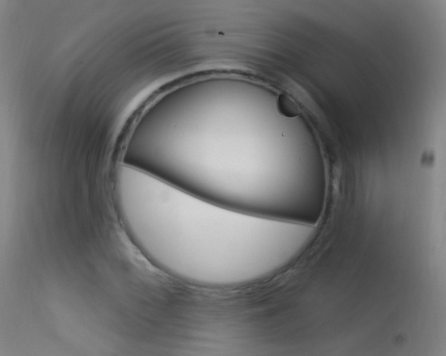 X0000113531068200909180954