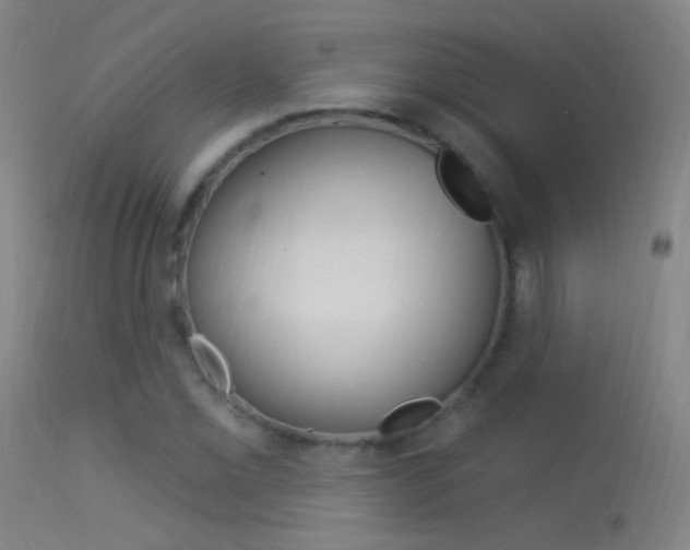 X0000113531069200909180954