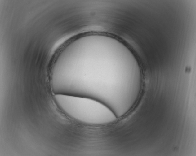 X0000113531070200909180954