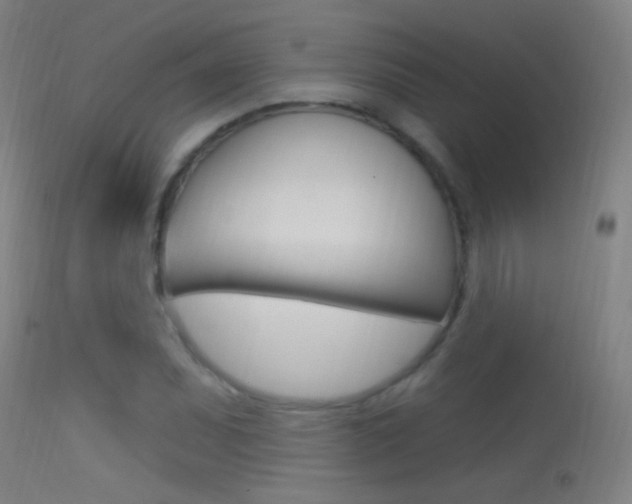 X0000113531071200909180954