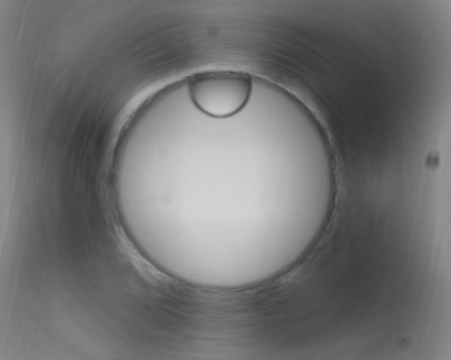 X0000113531072200909180954