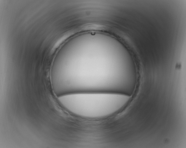 X0000113531073200909180954