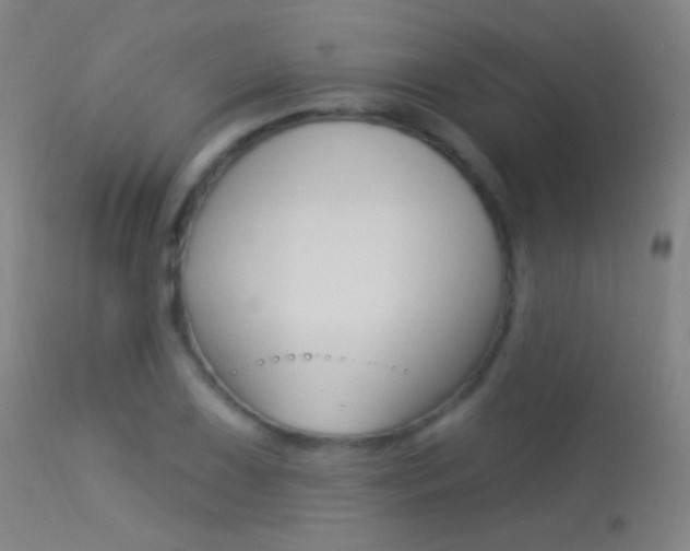 X0000113531075200909180954