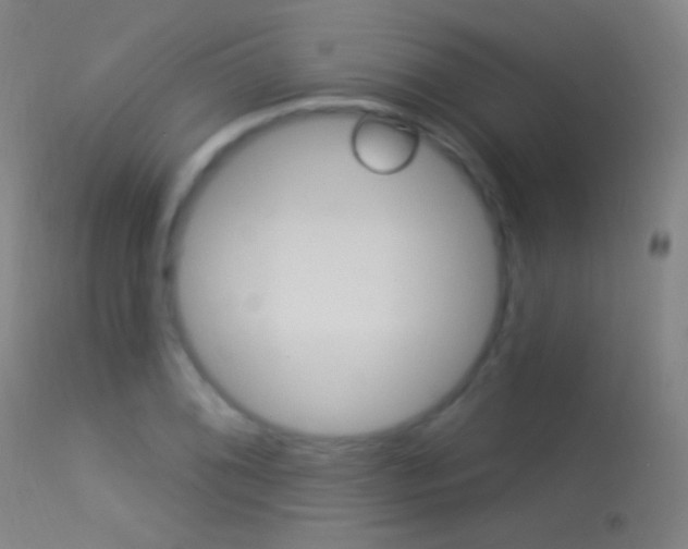 X0000113531076200909180954