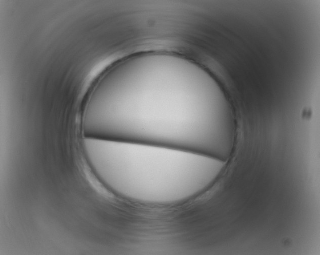 X0000113531079200909180954