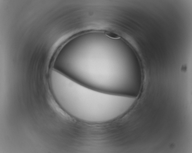 X0000113531080200909180954