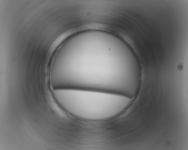 X0000113531082200909180954