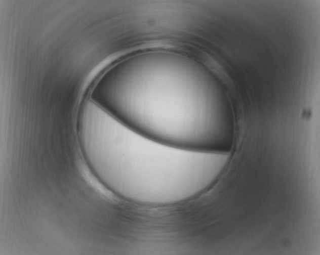 X0000113531084200909180954
