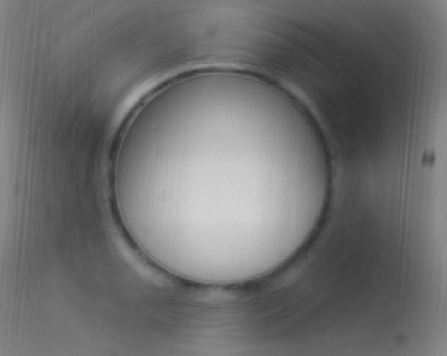 X0000113531085200909180954